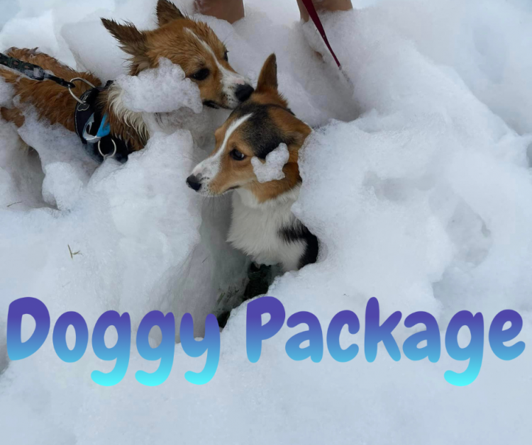 Doggy Package